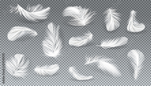 Vector 3d realistic set of white bird or angel feathers in various shapes, isolated on transparent background. Symbol of lightness, literature and poetry. Decoration element, design object