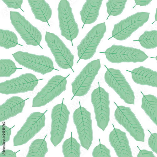 ecology leafs plants pattern