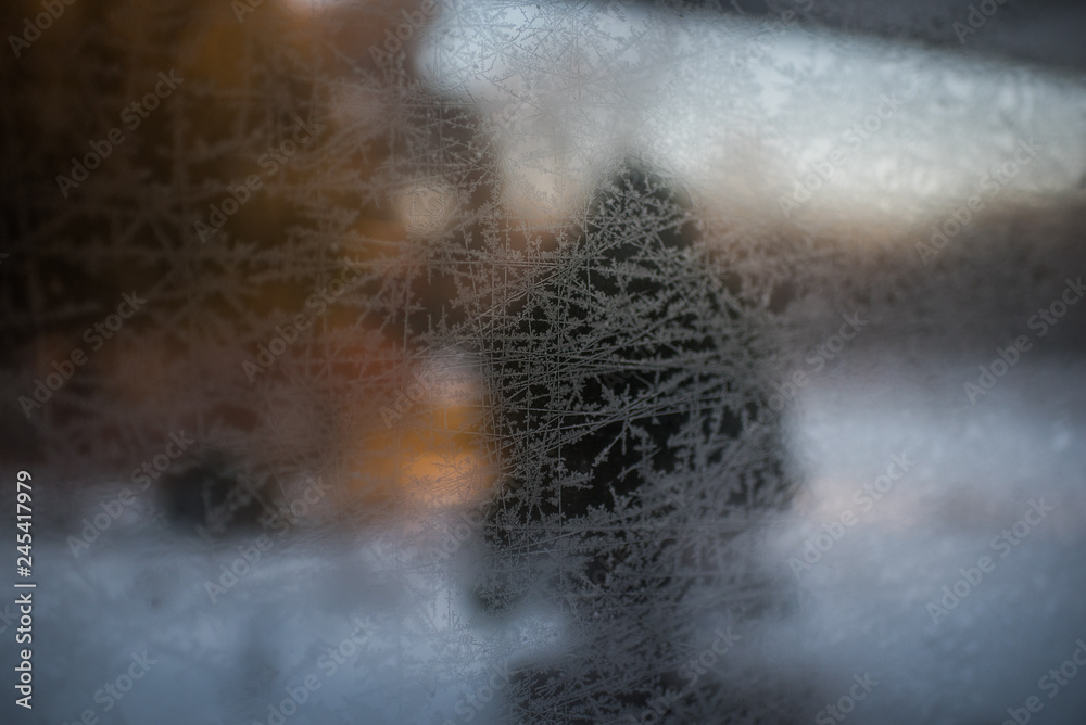 Evergreen behind frosted pane at sunrise