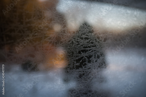 Evergreen behind frosted pane at sunrise