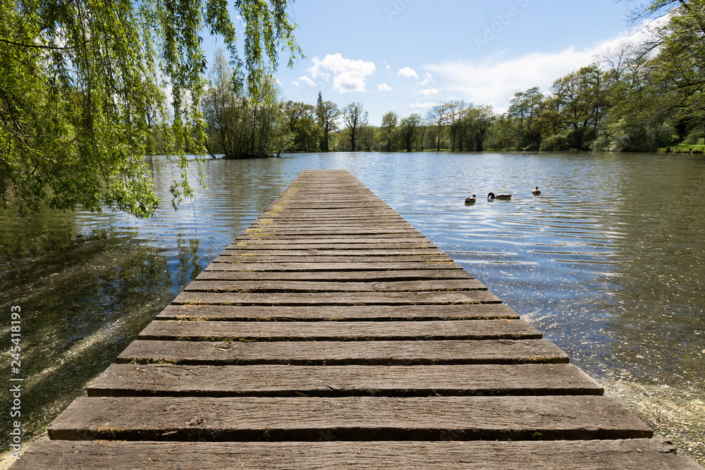 Steg am Teich Steg am Teich