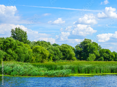 Nature landscape with lake river trees in forest reeds and meadow on a sunny spring summer day with blue partial cloudy sky