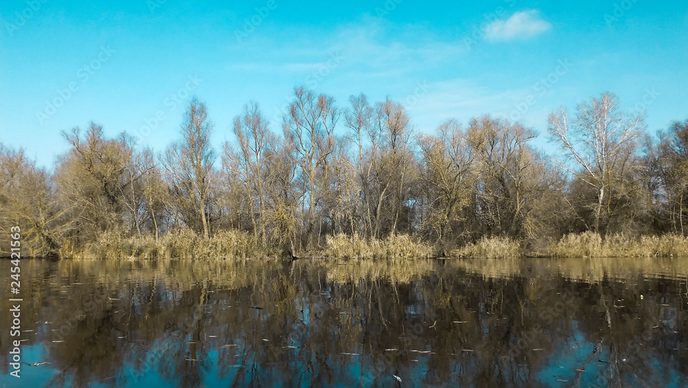 November on riverside. Late autumn landscape