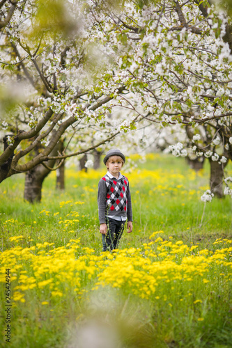 Little blonde boy in gray hat running in blooming apple and cherry garden. Warm springtime and mothers and woman day