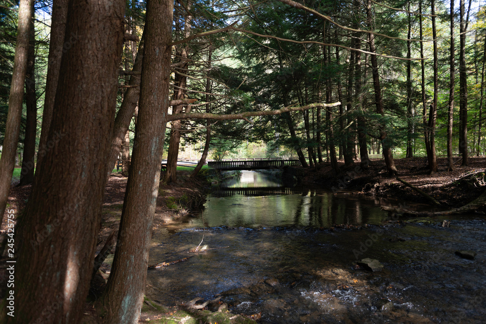Bridge over the creek Bridge over the creek