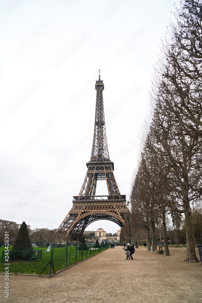 View at Eiffel Tower from the Champ de Mars (Field of Mars)