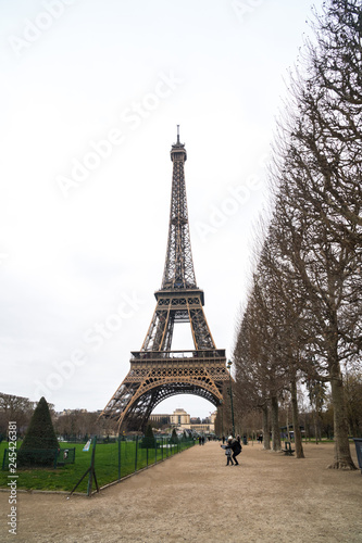 Fototapeta Naklejka Na Ścianę i Meble -  View at Eiffel Tower from the Champ de Mars (Field of Mars)