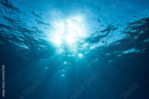 Underwater Sunburst 