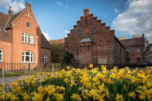 Old houses with some yellow flowers in the foreground, Odense, Denmark