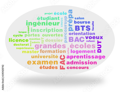 Nuage de mots : Orientation, études supérieures