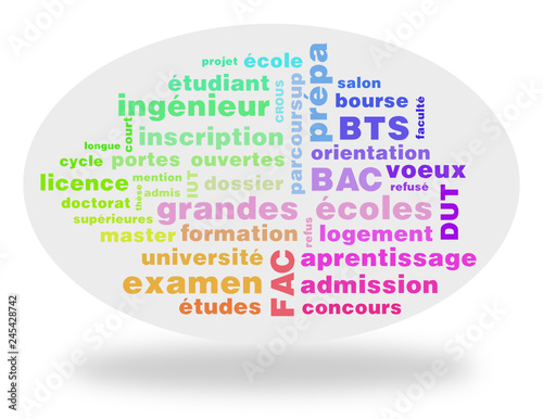 Nuage de mots : Orientation, études supérieures photo