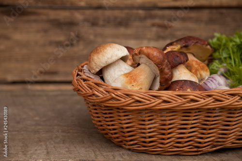 Mountain mushrooms on the wooden background