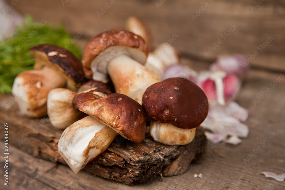 Mountain mushrooms on the wooden background Mountain mushrooms on the wooden background