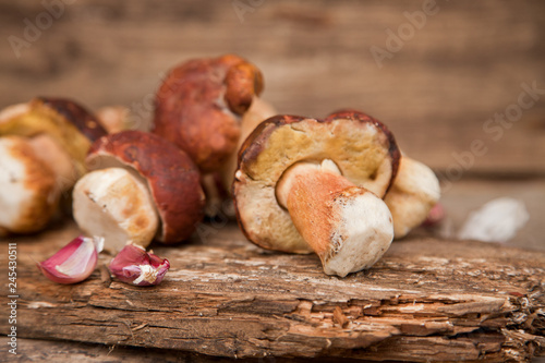 Mountain mushrooms on the wooden background