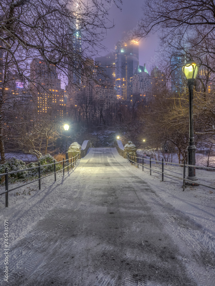 Central Park, New York City in winter