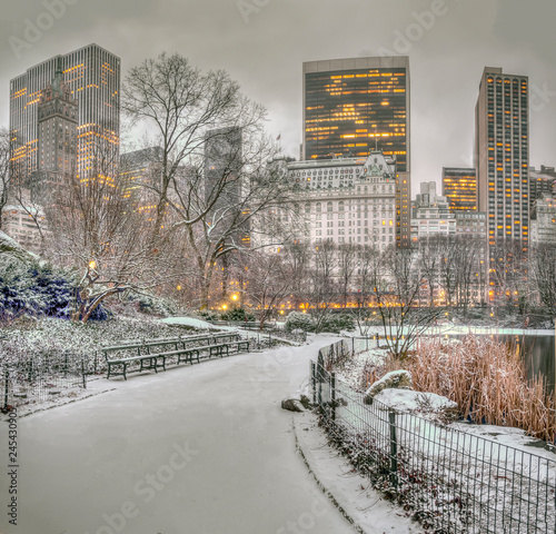 Photography Central Park, New York City in winter