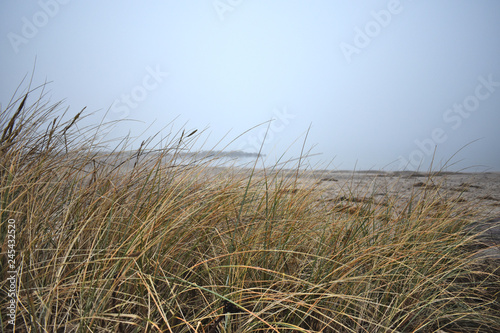 Nebliger Morgen am Strand