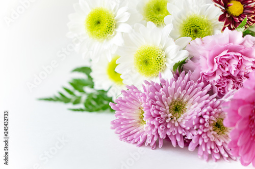 Bouquet chsysanthemum mums on white background