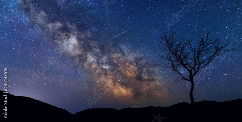 Milky way and tree. Scenery Landscape with night starry sky with Milky way Galaxy and silhouette of tree. Universe.