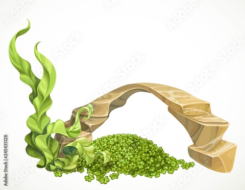 Sandstone arch with marine green algae part of the seabed for aquarium decoration or as a separate element isolated on white background