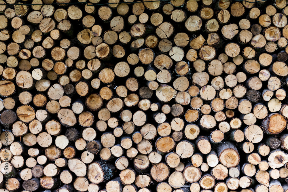 Sawed tree trunks and branches in different sizes, piled up in blue container Wood storage industry. Background of dry chopped firewood logs stacked up on top of each other in a pile.
