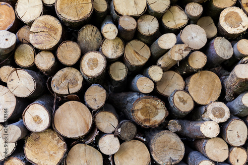Sawed tree trunks and branches in different sizes  piled up in blue container Wood storage industry. Background of dry chopped firewood logs stacked up on top of each other in a pile.