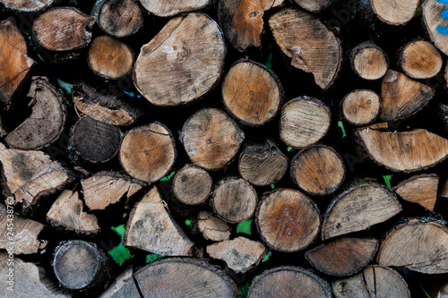 Sawed tree trunks and branches in different sizes  piled up in blue container Wood storage industry. Background of dry chopped firewood logs stacked up on top of each other in a pile.
