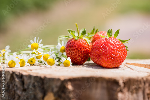 Fresh sweet strawberry isolated on bright sun . Sun is shining brightly. Green grass photo