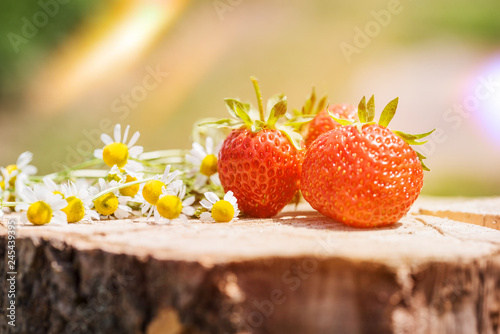 Fresh sweet strawberry isolated on bright sun . Sun is shining brightly. Green grass photo