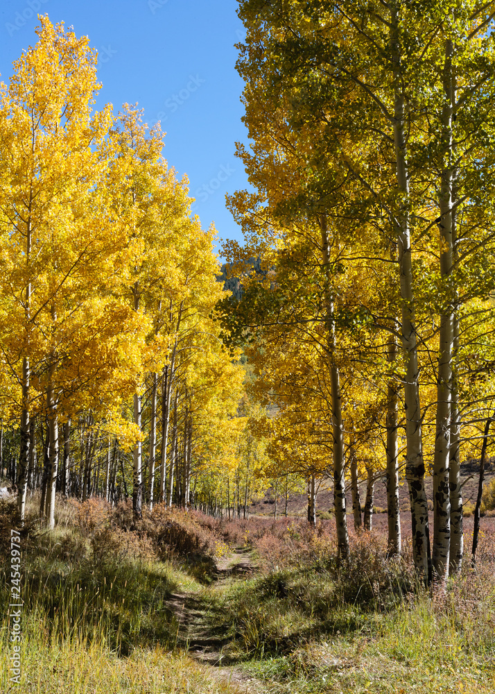 Colorful Colorado Scenic Landscape Beauty
