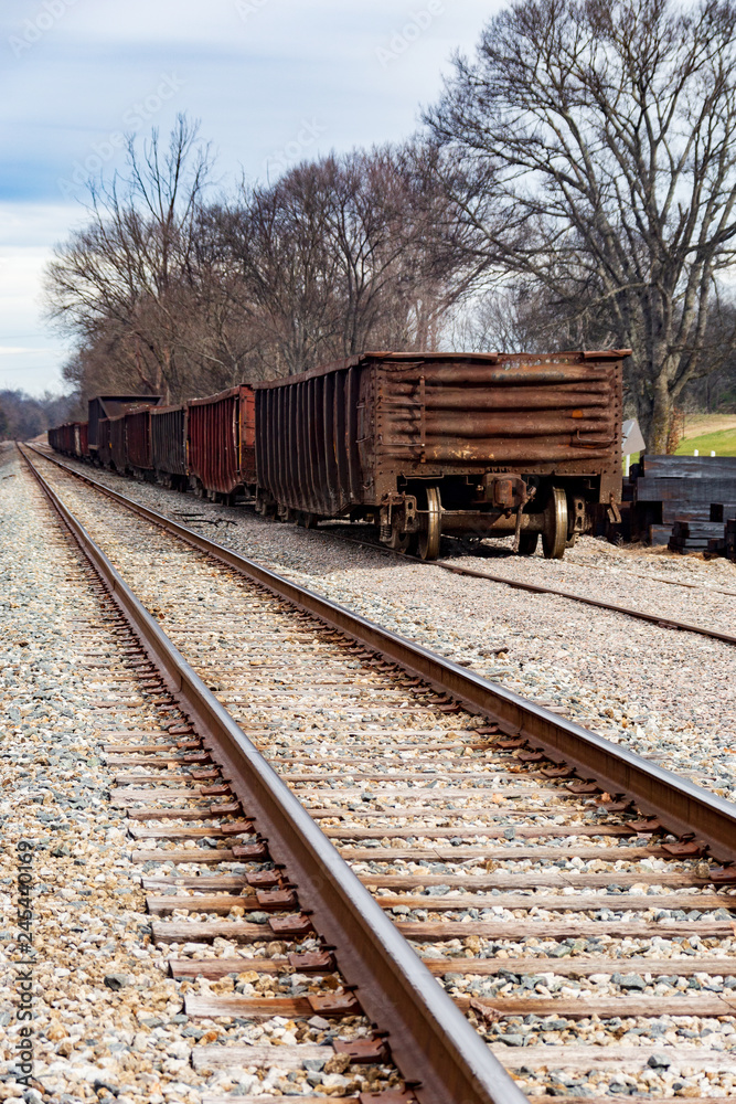 Fototapeta premium Two railroad tracks and rail cars travelling the distance.