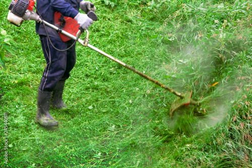 Mowing the lawn with a trimmer. A woman is mowing a tall, juicy grass with a motor scythe in the summer.