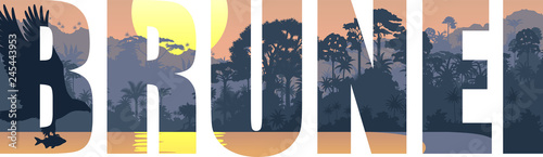 vector illustration of Brunei with white bellied sea eagle