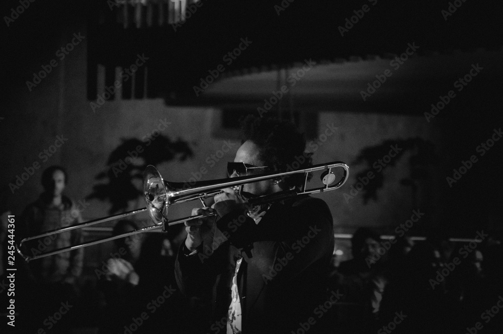 Fototapeta premium Jazz Musician