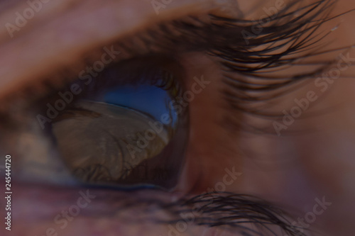 brown eyes looking