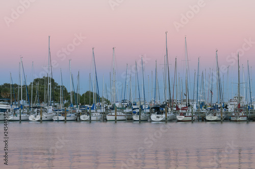 Sailboats at sunset at the South Yacht Basin of St. Petersburg, Florida photo