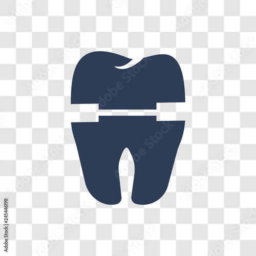 Molar crown icon vector
