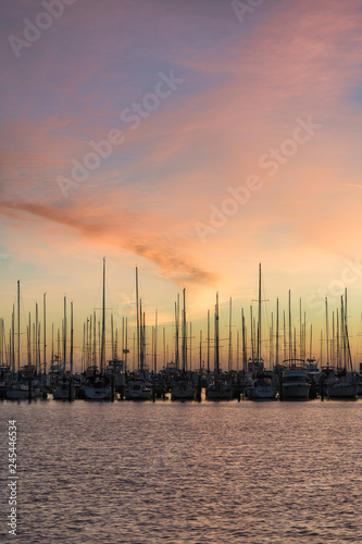 Sailboats in the South Yacht Basin of St. Petersburg, Florida at sunrise