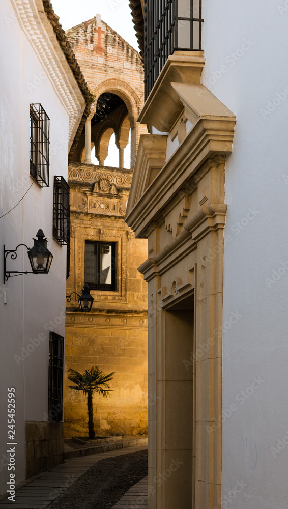 Typical street of Jewish quarter of Cordoba, Andalusia, Spain