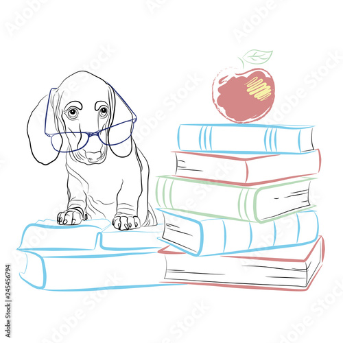 Dachshund with books, clipart, vector illustration