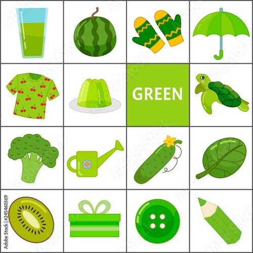 Learn the primary colors. Green. Different objects in green color. Educational material for children and toddlers.