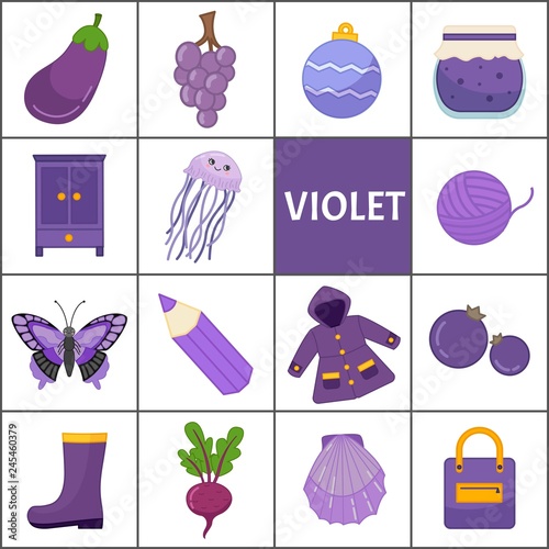 Learn the primary colors. Violet. Different objects in violet color. Educational material for children and toddlers.