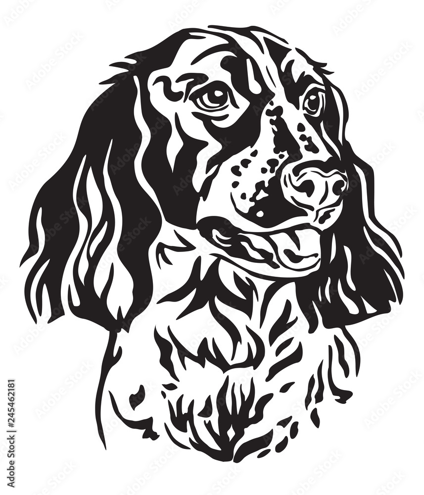 Fototapeta premium Decorative portrait of Dog Russian Spaniel vector illustration