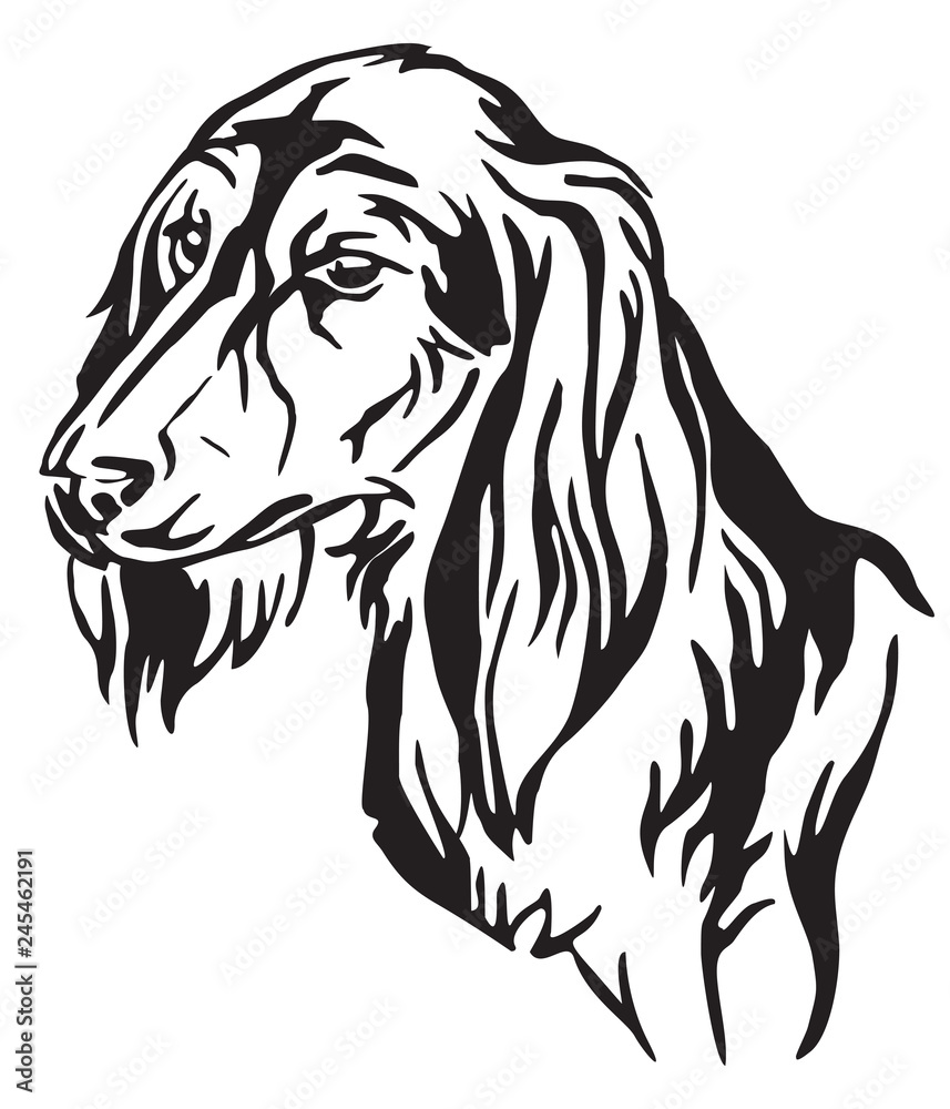 Fototapeta premium Decorative portrait of Dog Saluki vector illustration
