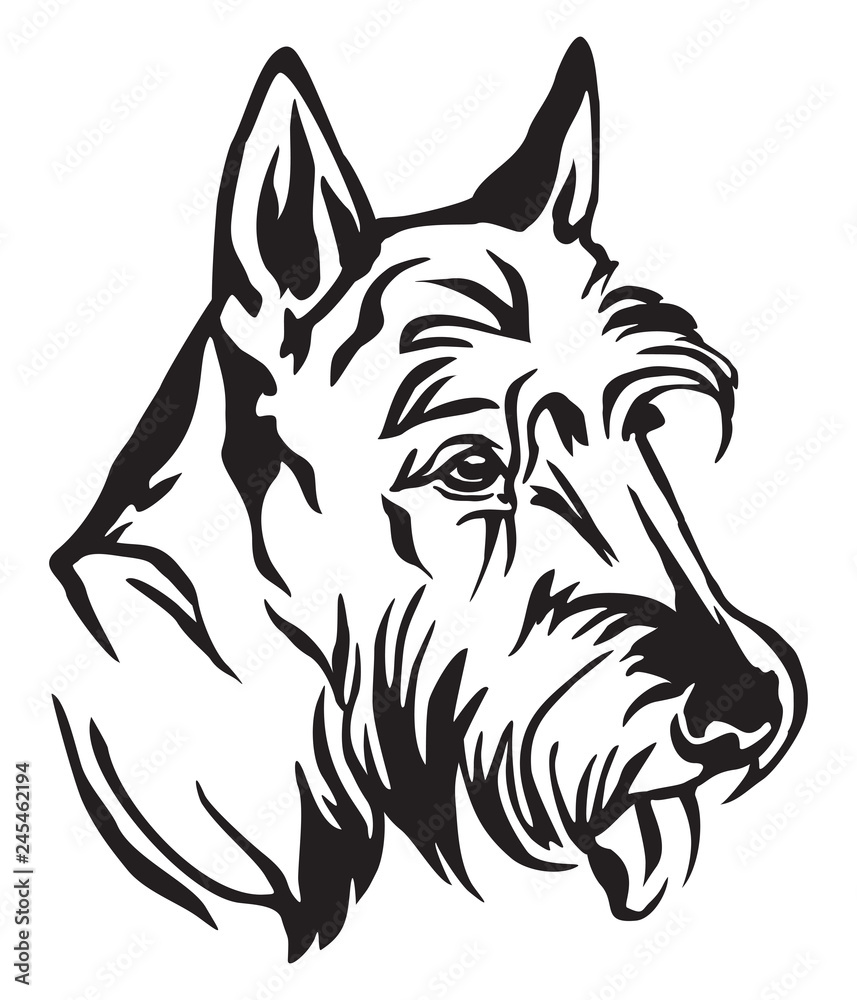 Decorative portrait of Dog Scottish Terrier vector illustration