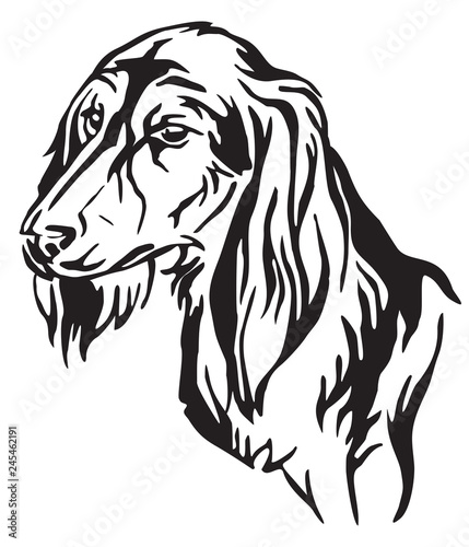 Fototapeta Naklejka Na Ścianę i Meble -  Decorative portrait of Dog Saluki vector illustration