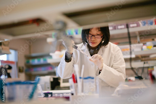 
Asian Scientist Pipetting at a Biomedical Laboratory
 photo