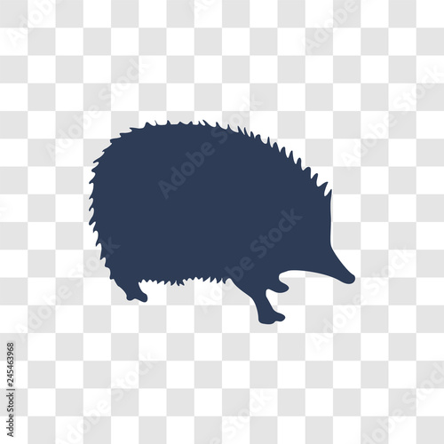 Echidna icon vector
