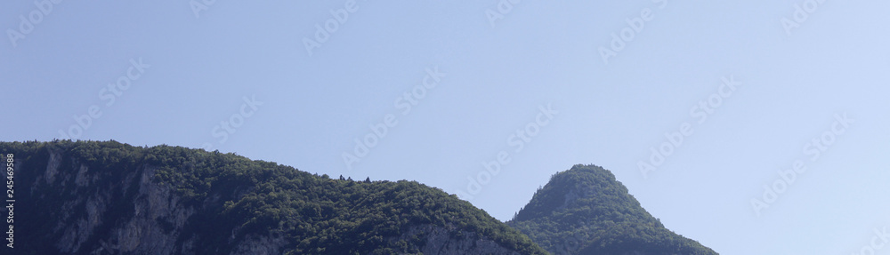 Naklejka premium Forest Hills