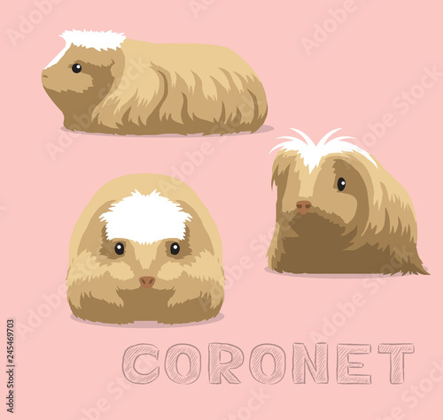 Guinea Pig Coronet Cartoon Vector Illustration